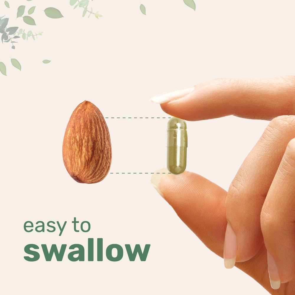 Probiotic blend image: 1 billion CFUs from a 10-strain mix