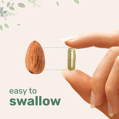 Probiotic blend image: 1 billion CFUs from a 10-strain mix