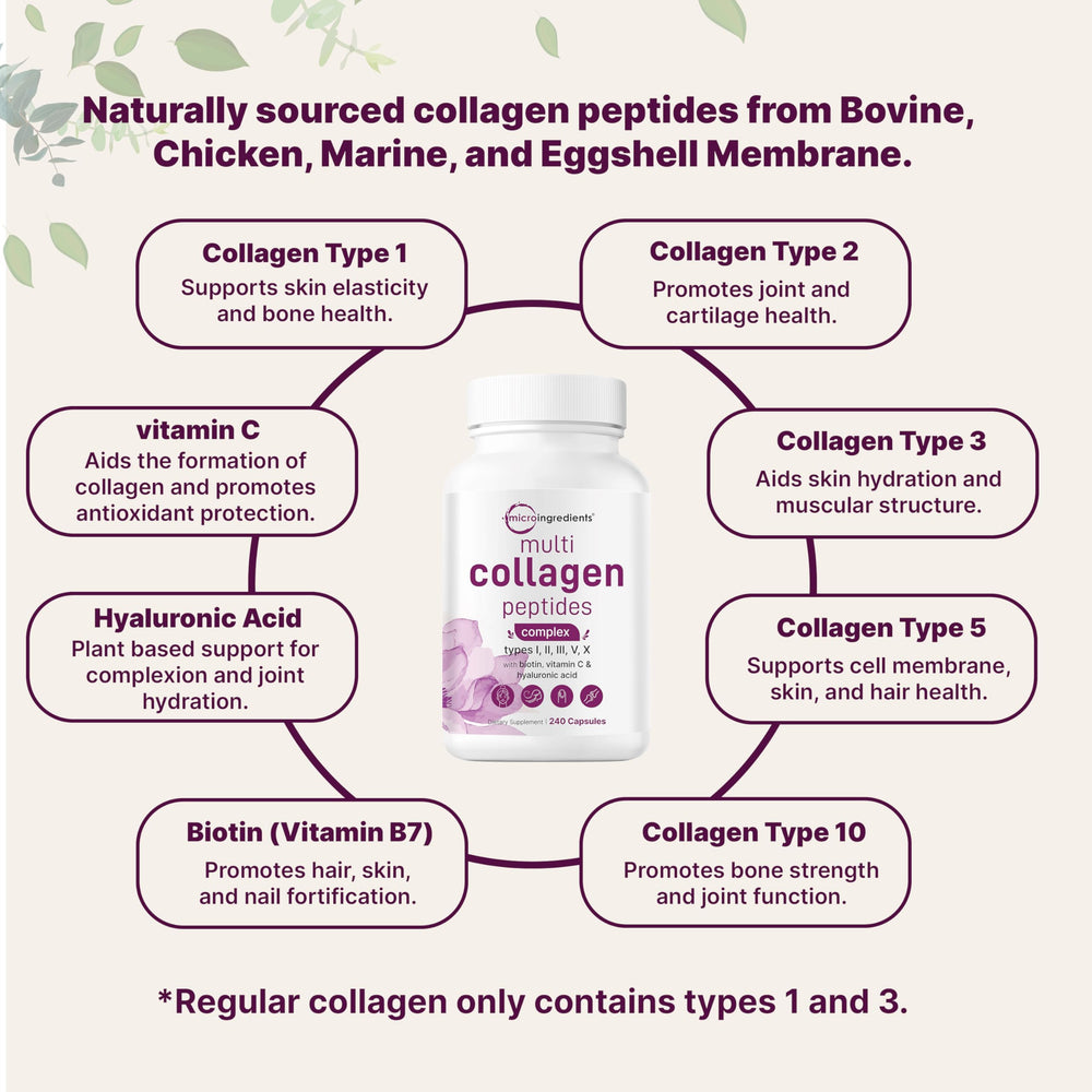 Illustration highlighting hydrolyzed collagen peptides with biotin, hyaluronic acid and vitamin C