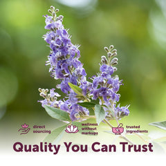 Micro Ingredients ingredient blend display with herbs and oil for clarity
