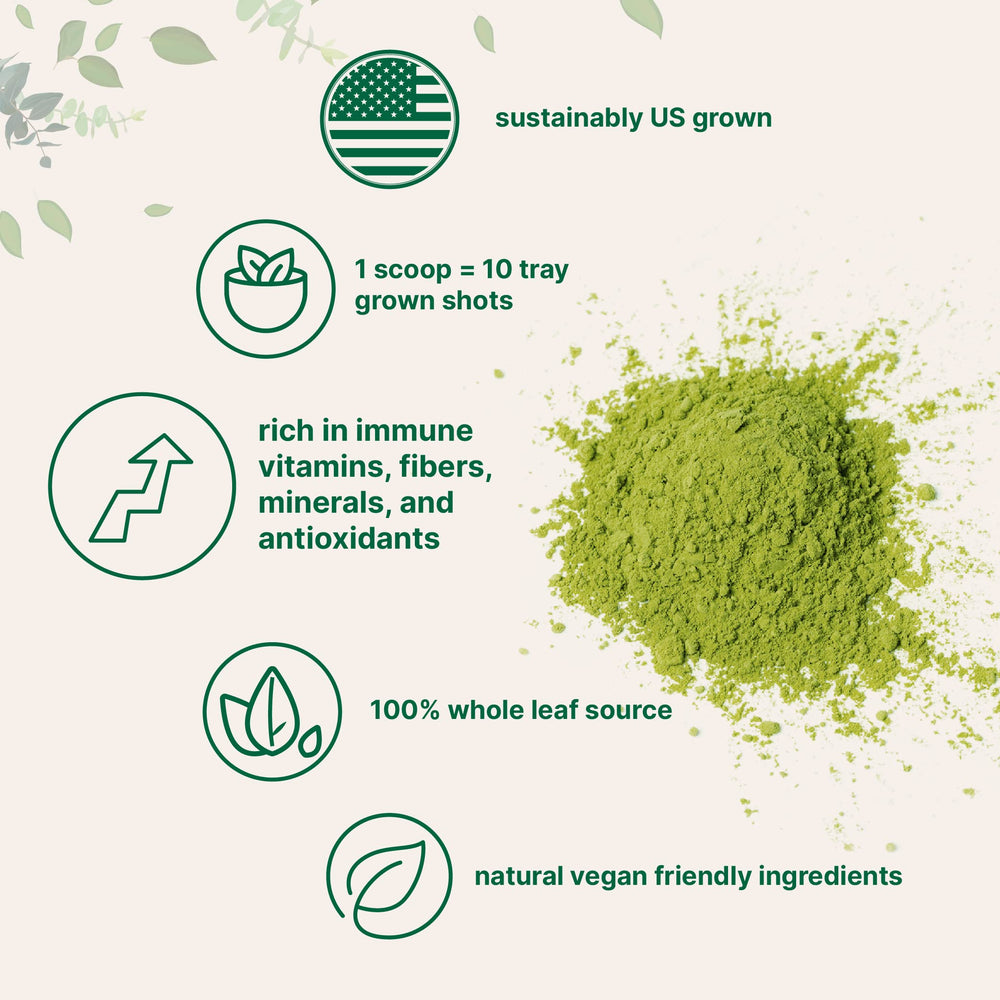 US Grown Organic Wheatgrass Powder – 100% Whole-Leaf