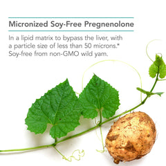 Micronized lipid-matrix technology graphic