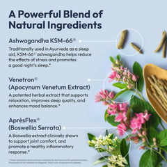 L-Theanine and GABA calming sleep components