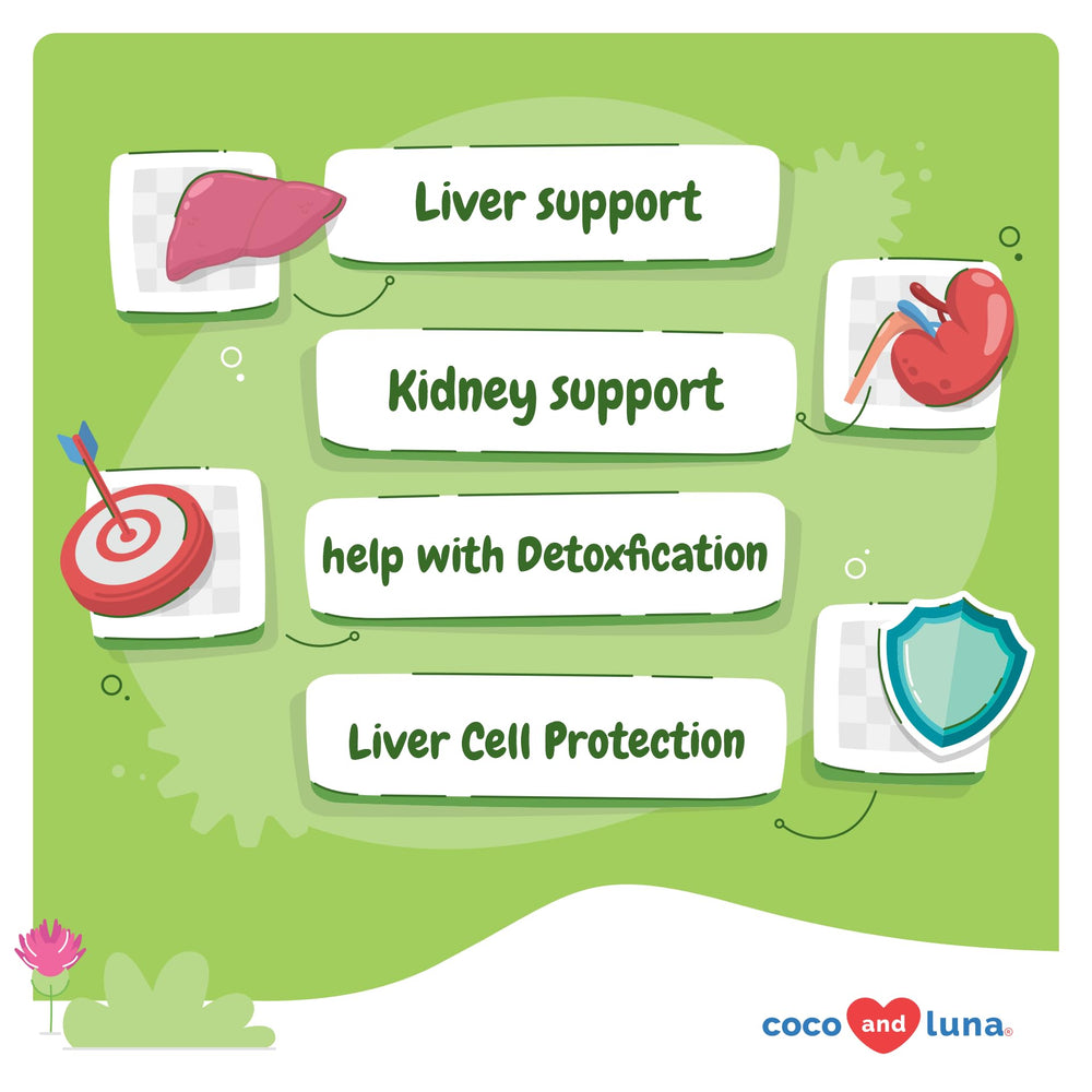 Milk thistle dog detox and liver support imagery