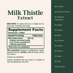 Illustration of liver health and traditional use of milk thistle