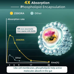 Ingredients NAC, L-glutathione, leucine, and taurine for liver support