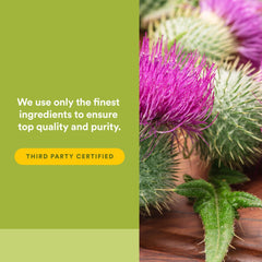 Ingredient concept: silymarin bound to phosphatidylcholine for absorption