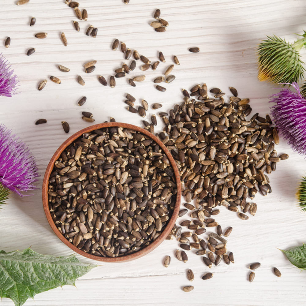 Whole organic milk thistle seed for tea, capsules, or food
