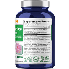 Illustration showing Mimosa Pudica seed 10:1 extract concept