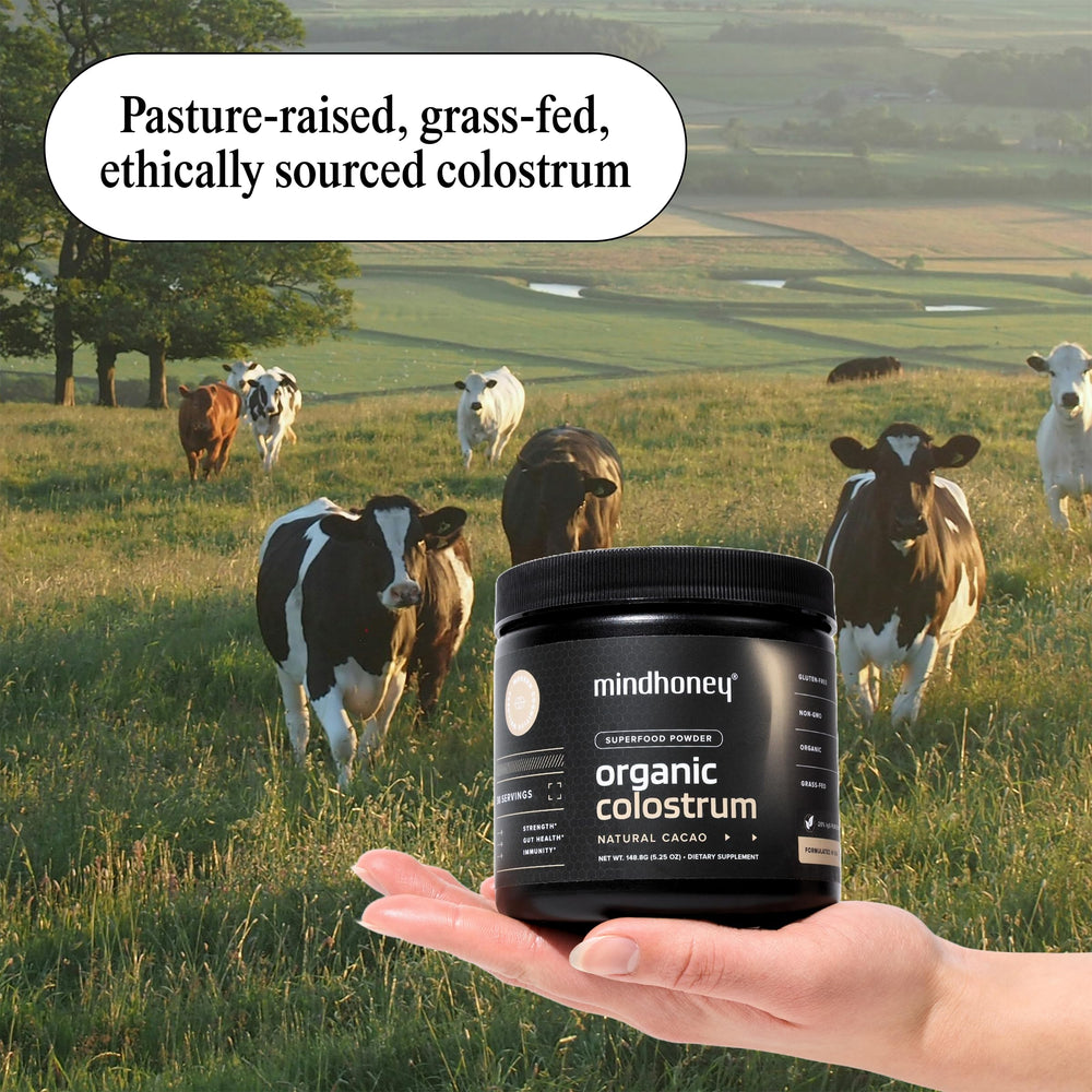 Cacao flavored colostrum powder being added to a smoothie