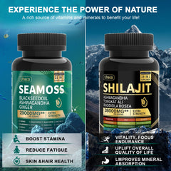 Dynamic vitality bundle featuring Sea Moss, Shilajit and adaptogens