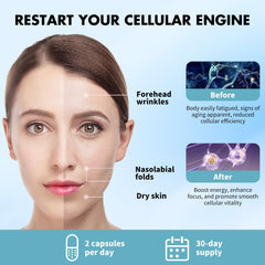 Supplement facts panel showing NAD+ 600 mg per serving