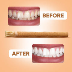 Close-up of soft bristles on Miswak toothbrush