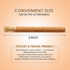 Miswak toothbrush suitable for family use