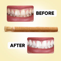 Close-up of Miswak holder