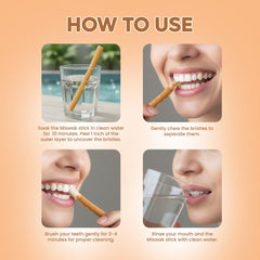 Natural Miswak toothbrush holder
