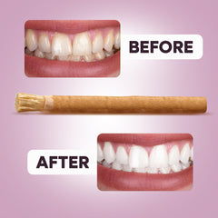 Close-up of soft bristles on the Miswak toothbrush