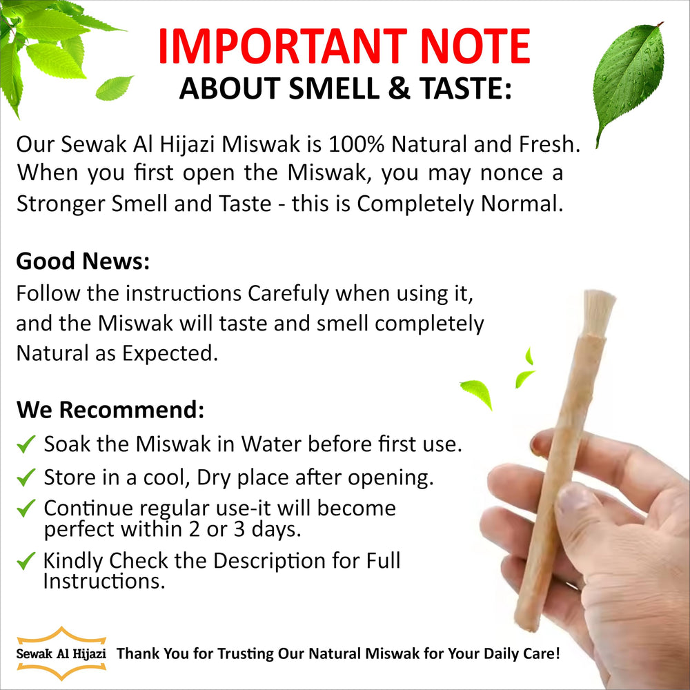 Miswak sticks promoting gum health and fresh breath