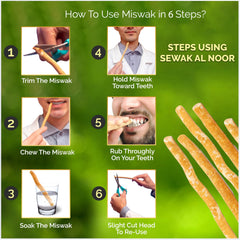 Miswak sticks with holder and packaging