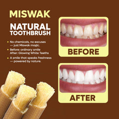 Holder with Miswak sticks arranged together