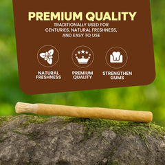 Miswak 10-pack with clove scent and holder
