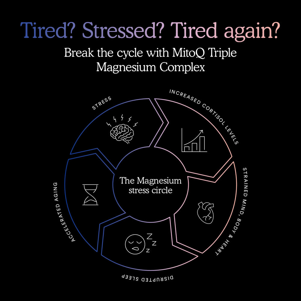 Heart health concept with heart and heartbeat line
