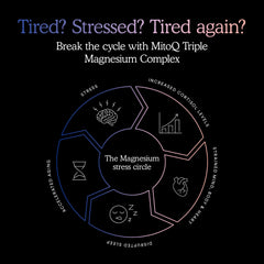 Heart health concept with heart and heartbeat line
