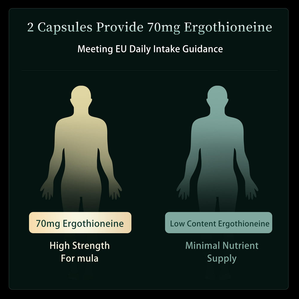 Daily use of MixPower EGT 70mg capsules