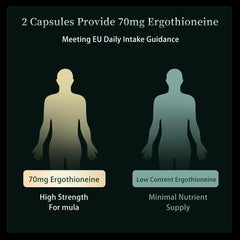 Daily use of MixPower EGT 70mg capsules