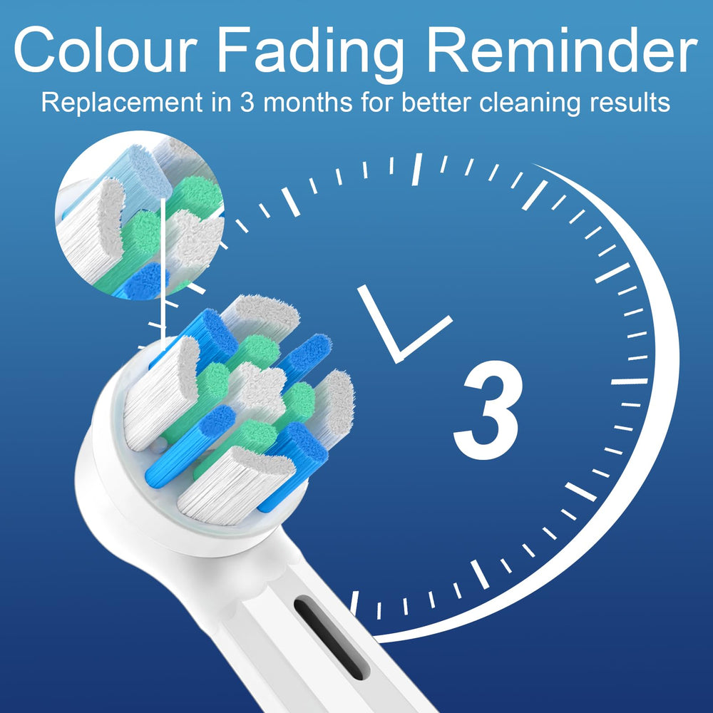 Bristles close-up on MOFELE brush head for deep cleaning