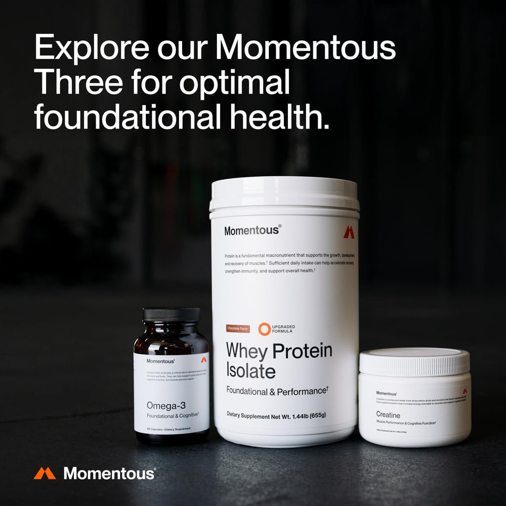 Momentous Creatine Monohydrate powder in a training setup supports post-workout energy.