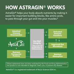 Packaging and month-long supply concept for creatine capsules