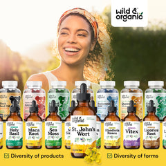 Mood support concept with St Johns Wort illustration