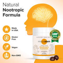 Front label highlighting 10 in 1 mushroom complex