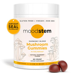 Lifestyle scene showing daily supplement routine with Moodstem Gummies
