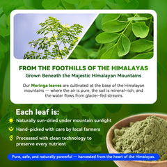 Close-up of Moringa capsules highlighting high-strength formula