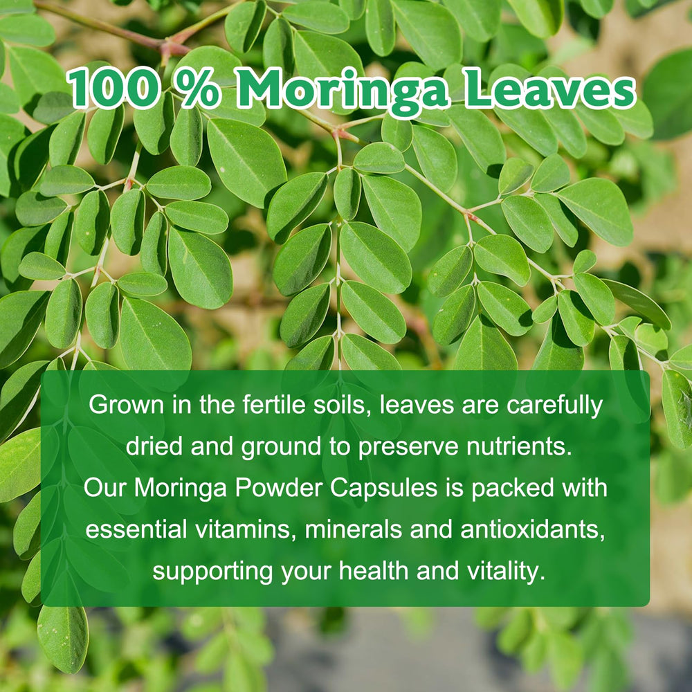 Moringa capsules promoting energy and vitality