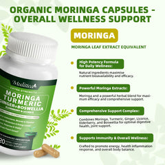Graphic showing ingredients: Moringa, Turmeric, Ginger, Elderberry, Licorice and Boswellia