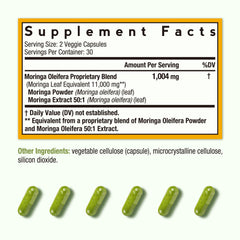 Moringa green superfood nutrients and antioxidants