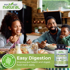 Illustration comparing moringa powder vs capsules for green superfood