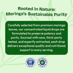 Illustration of moringa leaves with mixed berry accents