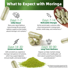 Close-up of Moringa Oleifera leaf powder capsules