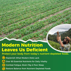 Gummies with background ingredients spirulina and moringa leaves