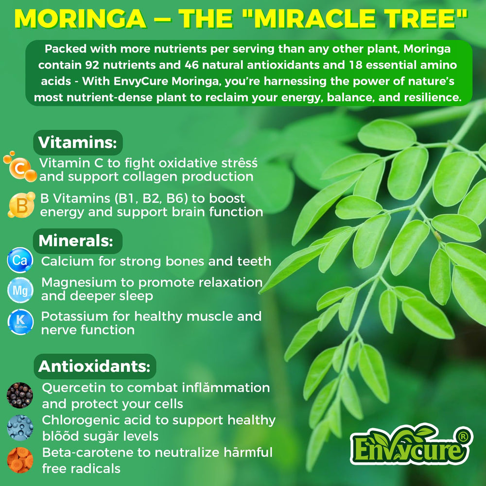 Moringa leaves and spirulina powder for natural energy