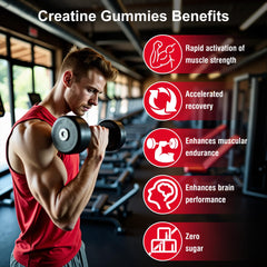 Vegan, gluten-free, sugar-free formula with plant-based ingredients