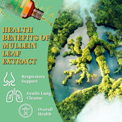 Mullein leaf tincture drops applied under the tongue