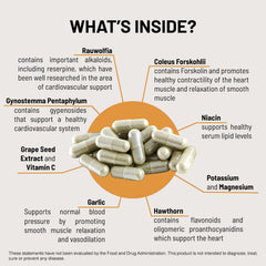 HTN Support bottle showing grape seed extract ingredient
