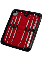 Mouth mirror and dental instruments for home use