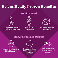 Visual showing collagen types I, V, and X