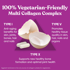 Illustration of eggshell membrane used in vegetarian collagen